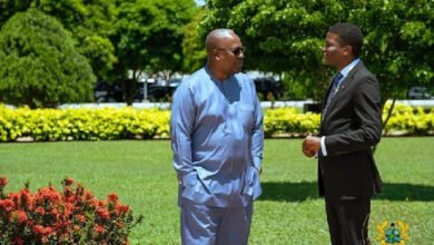 5 Photos from Mahama’s garden conversations with Grenadian PM that have got people talking
