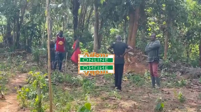 66-year-old farmer allegedly murdered in his farm at Dadiesoaba-Kaniago