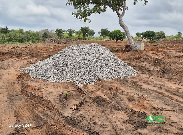 BE/R: Bosomoa Forest Reserve under threat as community clears 20 acres for proposed nursing college