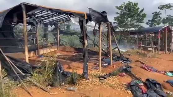 Galamsey: Ghana Institute of Foresters raises alarm over armed miners