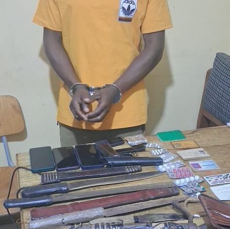 One arrested in connection with murder of timber guards at Nsuhia