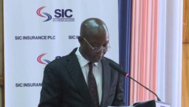 SIC Insurance posts strong revenue growth in 2024, boosting profitability