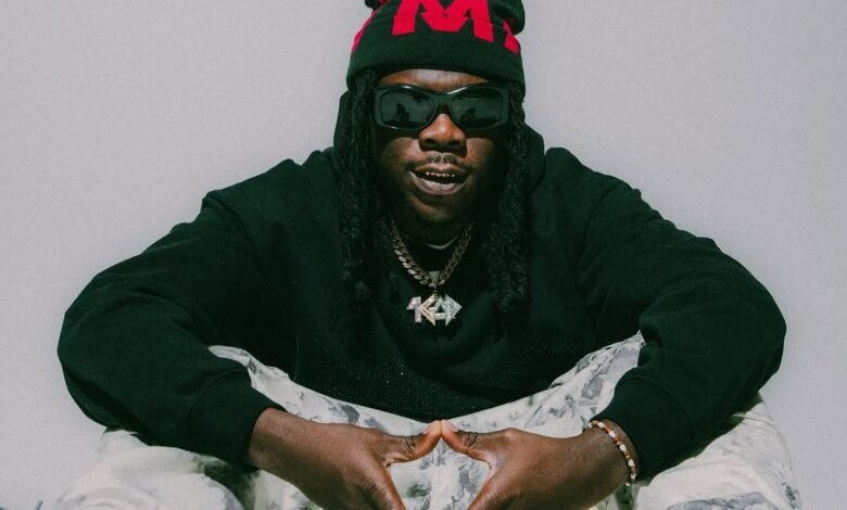 Stonebwoy's BHIMFest moved to December 24