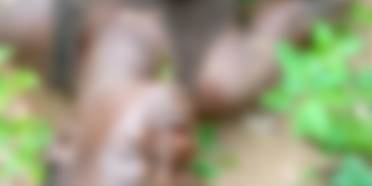 C/R: Two suspected robbers lynched after killing Okada rider