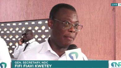 Fifi Kwetey: MPs cannot pretend to be holy on vote-buying
