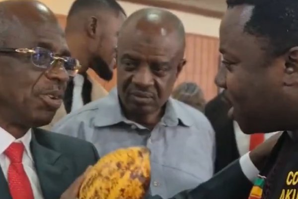 Watch as Asiedu Nketiah jabs Ntim Fordjour over cocoa pod display at SONA